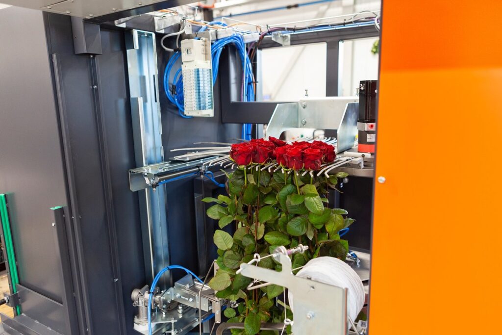 Bercomex launches new Rosematic bunch-binding station at International Floriculture Trade Fair (IFTF)